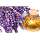 Lavender_oil.png