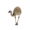 emu_oil.png